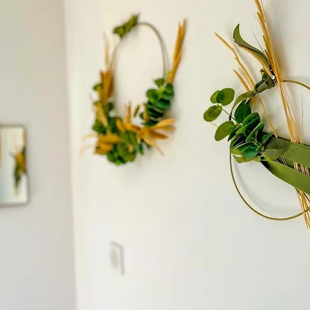 Appartement Marion - Agosta By Foot Cozy - By Tgb Albitreccia