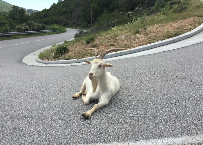 Appartement Marion - Agosta By Foot Cozy - By Tgb *